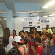 img247478i3.JPG