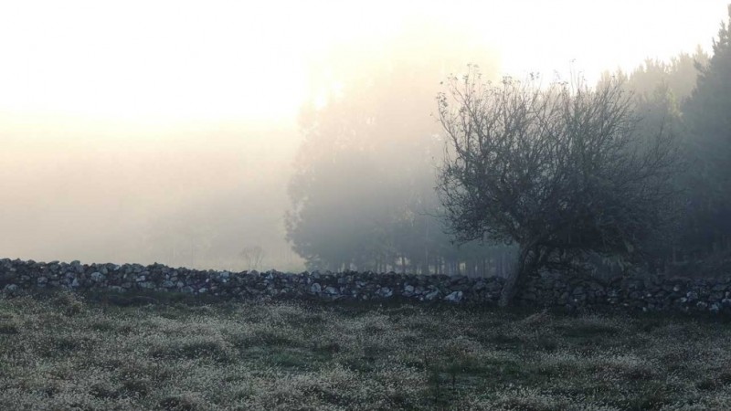 Frio e baixas temperaturas