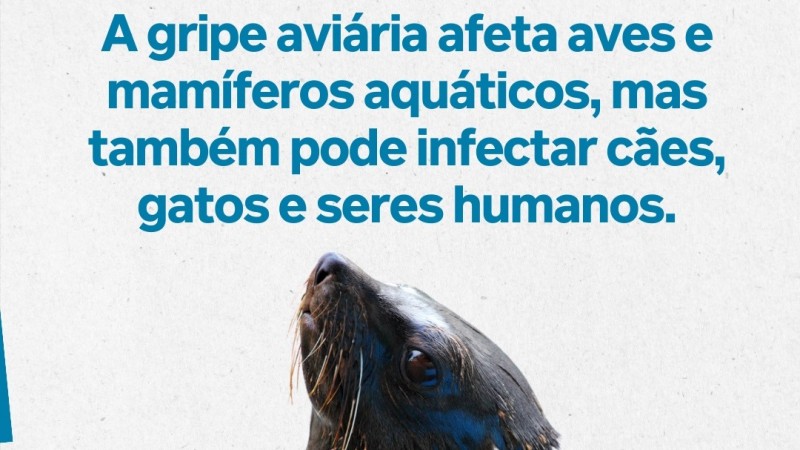 Influenza editado