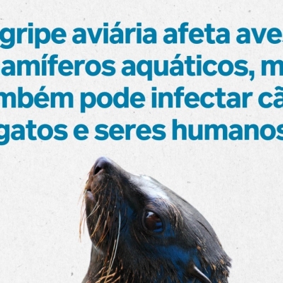 Influenza editado