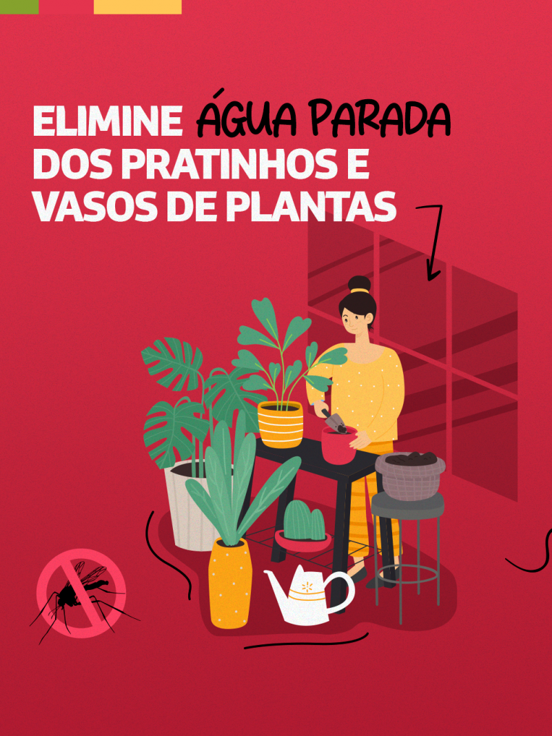 Preven&ccedil;&atilde;o contra dengue 