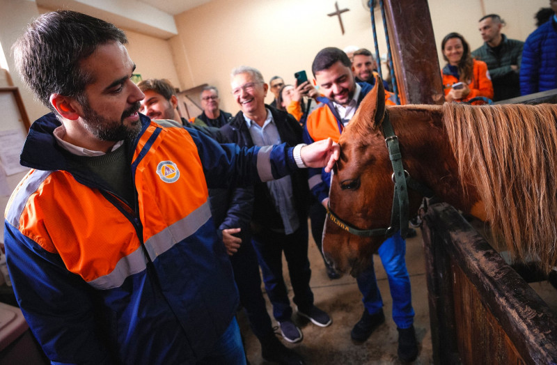 eite conheceu o cavalo Caramelo, que comoveu o país e foi reconhecido como símbolo da resiliência gaúcha