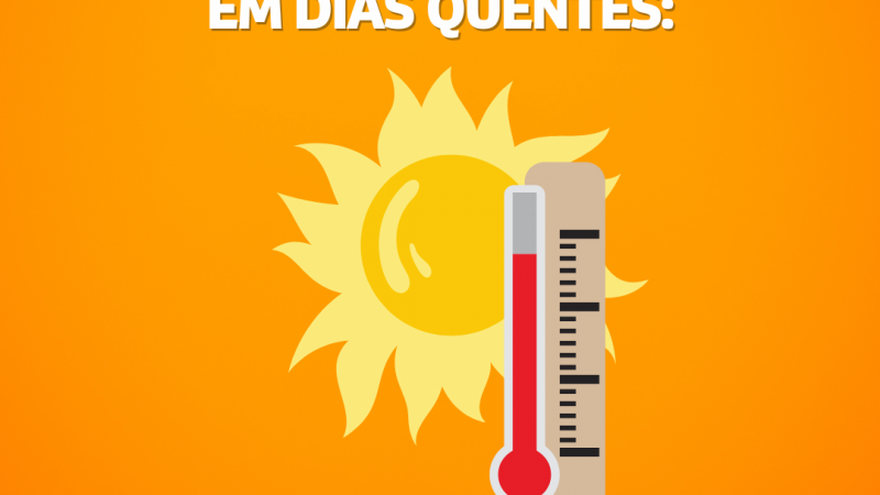 Cuidados Importantes em Dias Quentes: