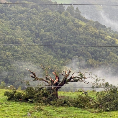 Fenômeno ocorreu na tarde da sexta-feira (9/5)